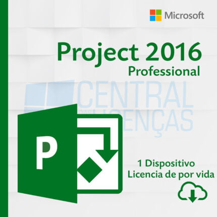 Project 2016 Professional